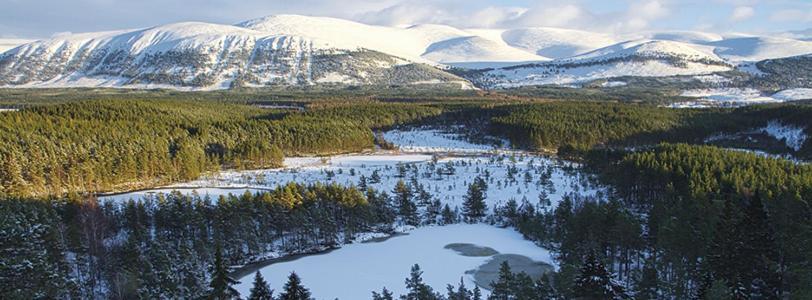 Appartamento Bonny Vista Inverness Esterno foto